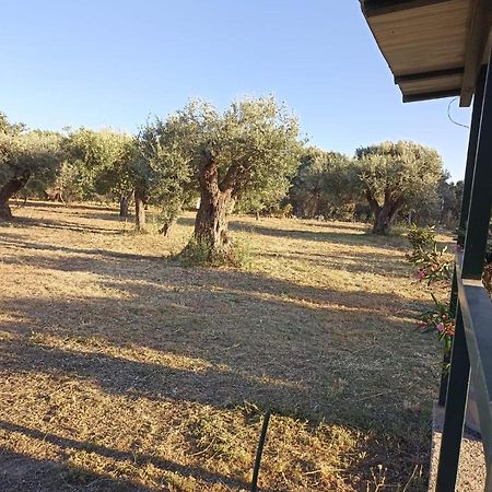 Relax E Tranquillita Villa Monasterace Dış mekan fotoğraf