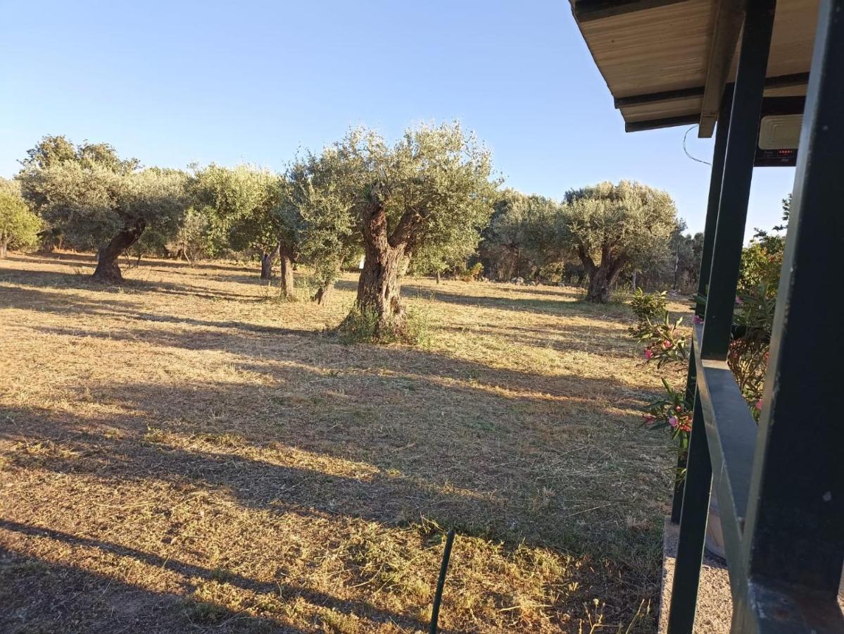 Relax E Tranquillita Villa Monasterace Dış mekan fotoğraf